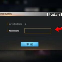 Cuma Begini! Cara Membuat Nama FF Spasi Kosong